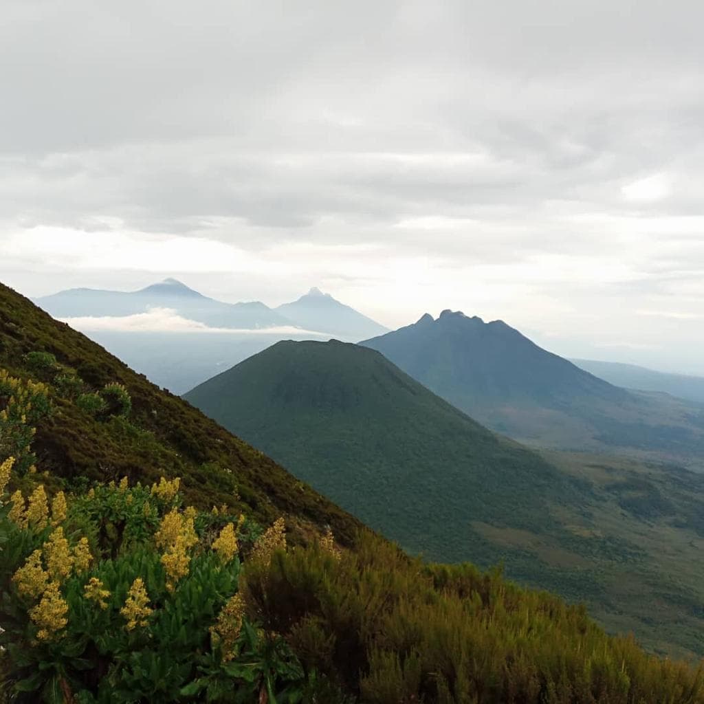 Eco-Friendly Travel: How to Be a Responsible Safari Traveler